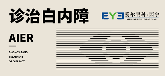 1-230204103UAA.png
