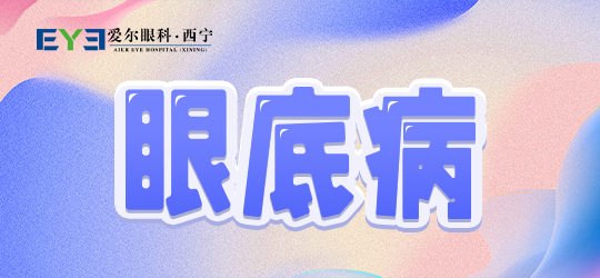 1-230204102945W5.png