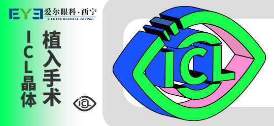 1-2302040951152T.png