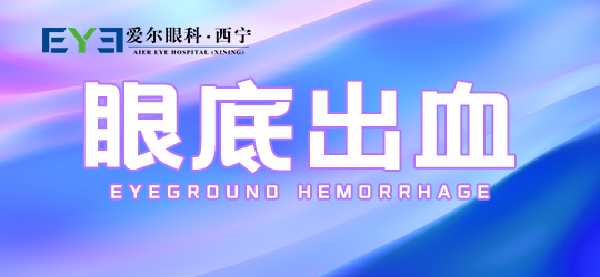 1-230204103020327.png